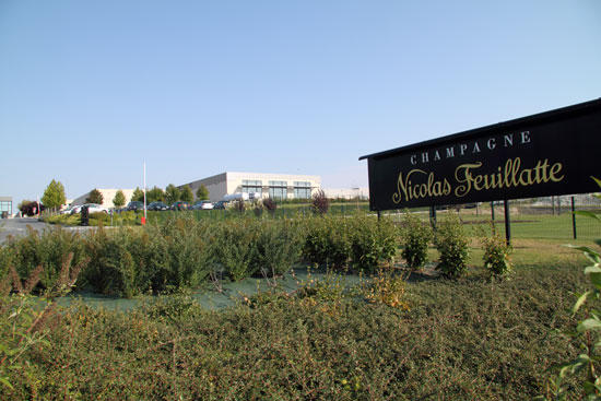 Visite du vignoble de notre partenaire, les Champagnes Nicolas Feuillatte