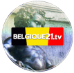 Belgique 21.tv la web TV des francophones qui vivent ou veulent vivre, s'installer, travailler ou monter un business en Belgique